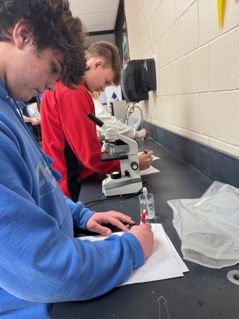 IMG_3555 - Melissa Johnson