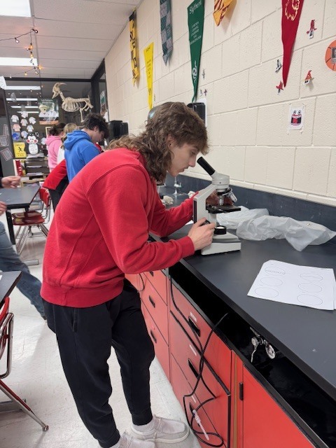 IMG_3554 - Melissa Johnson