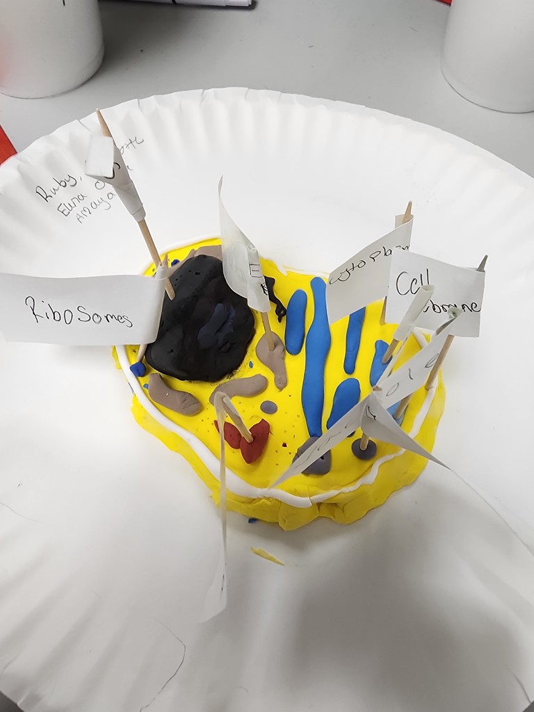 20260303_092907 - Scott Cihacek