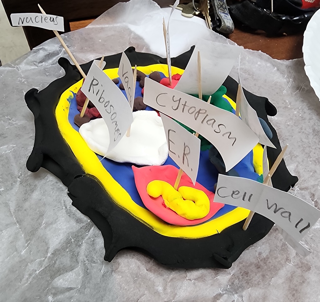 20260302_083817 - Scott Cihacek