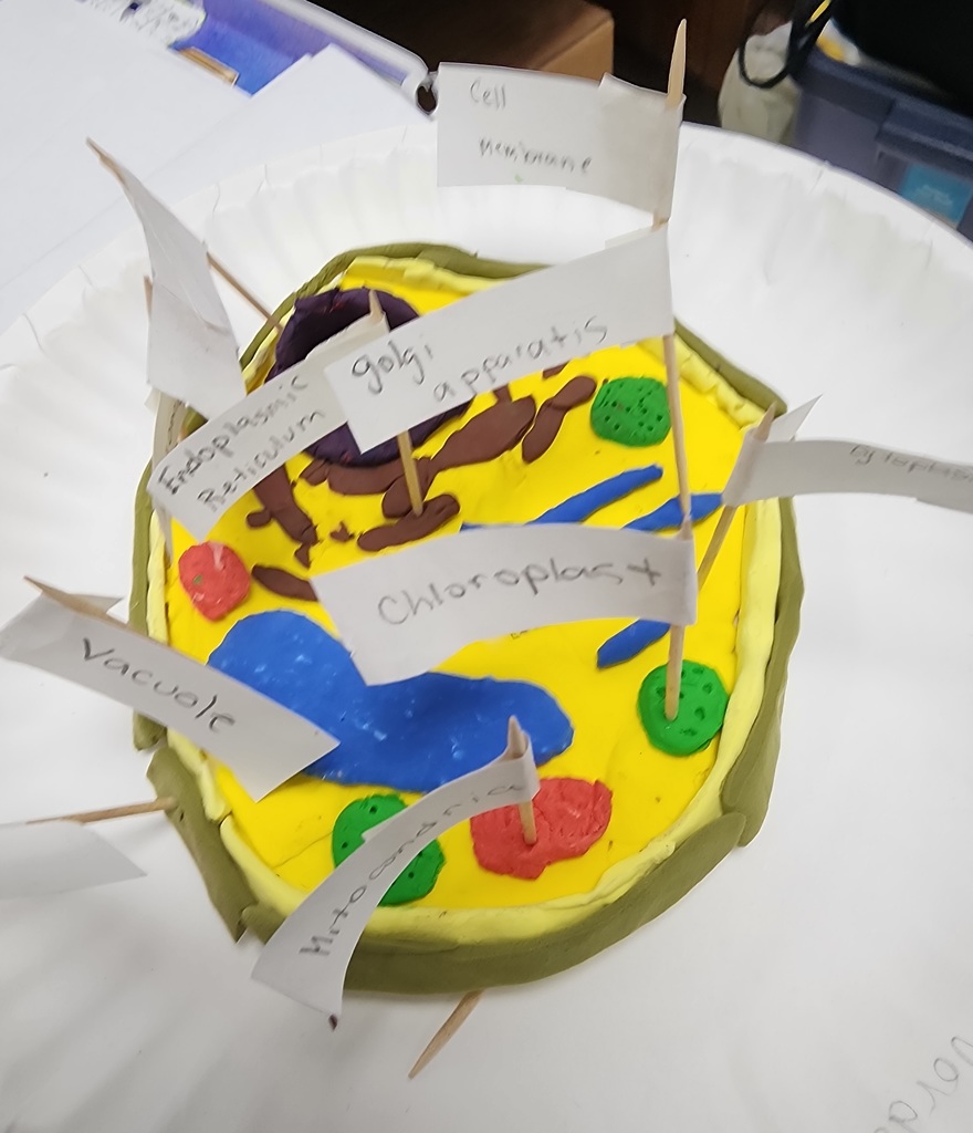 20260303_094022 - Scott Cihacek