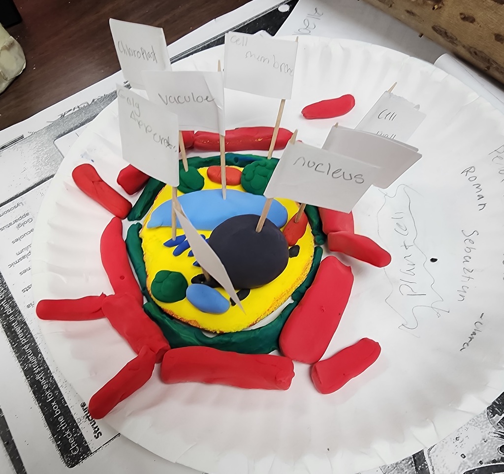 20260303_083458 - Scott Cihacek