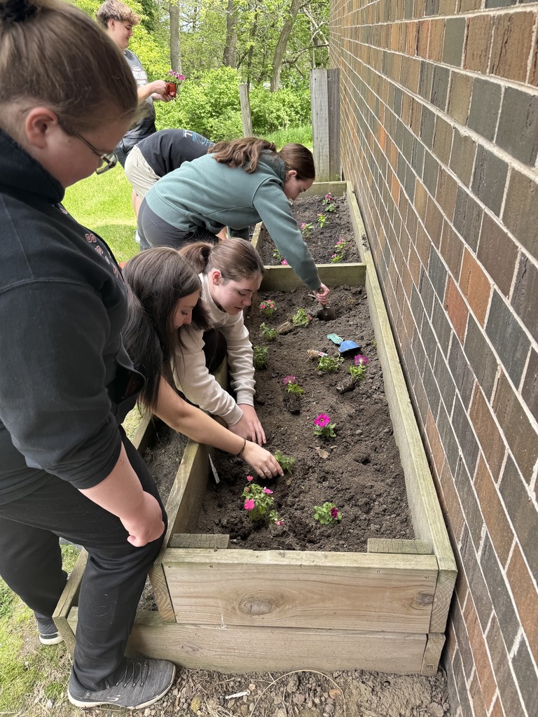 students planting pink flowers