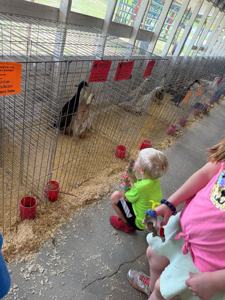 Kids looking at animals in cages