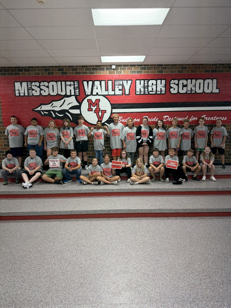 Group of students in gray shirts standing in front of a wall with Missouri Valley logo.