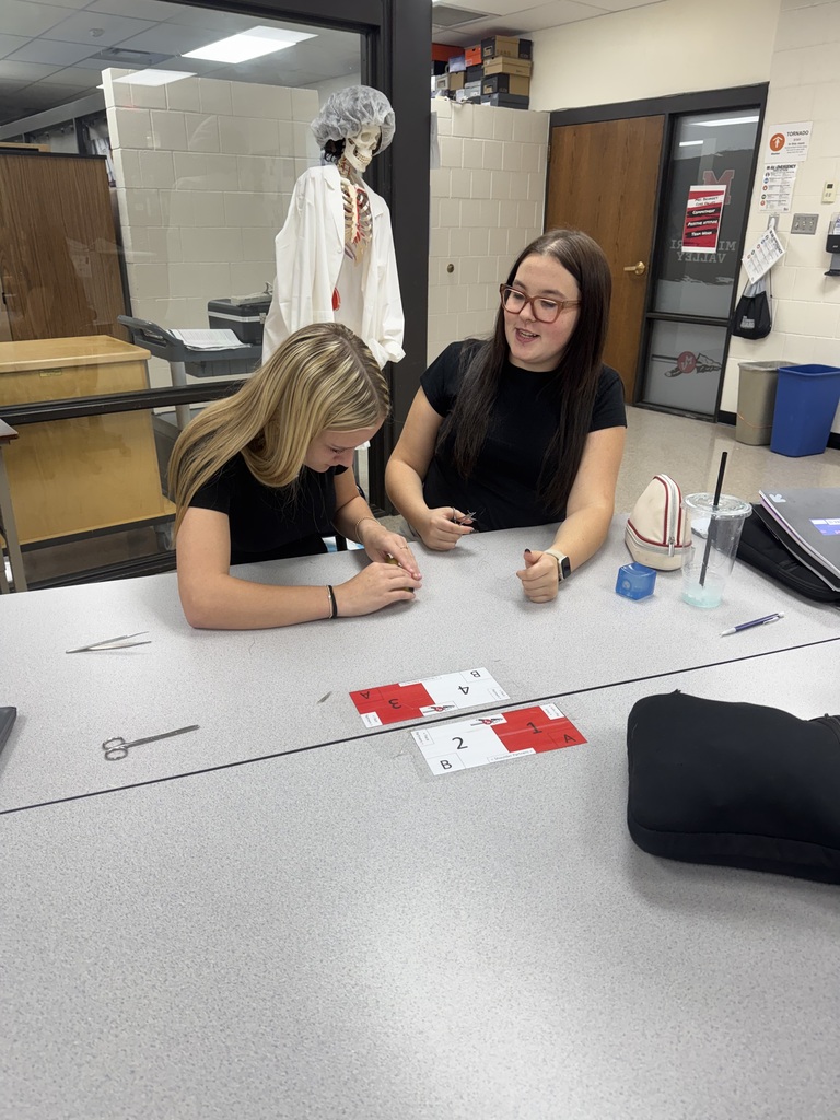 Two students practice a hands-on classroom activity using small tools, with an anatomical skeleton model nearby.