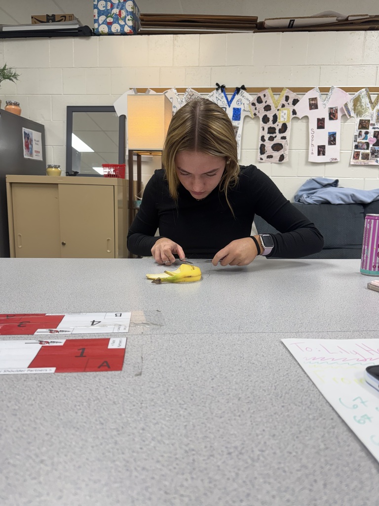 Student carefully uses a small tool on a banana during a hands-on classroom lesson.