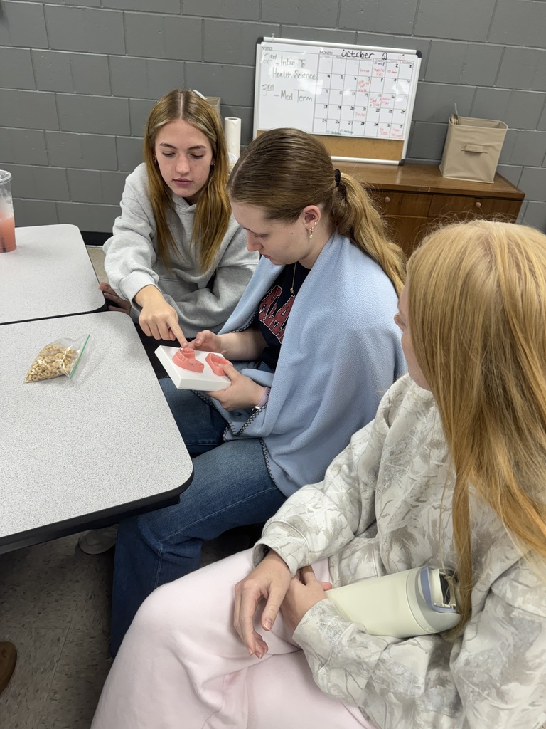 Three students examine pink dental models together, pointing out details during a hands-on dentistry activity.