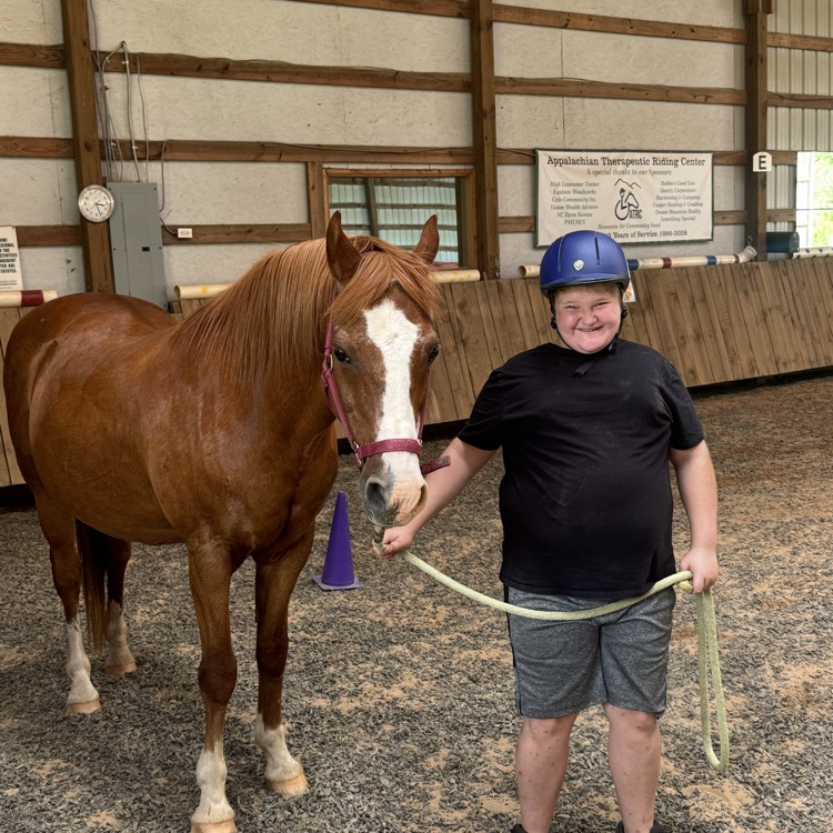 social Olympics horse competition