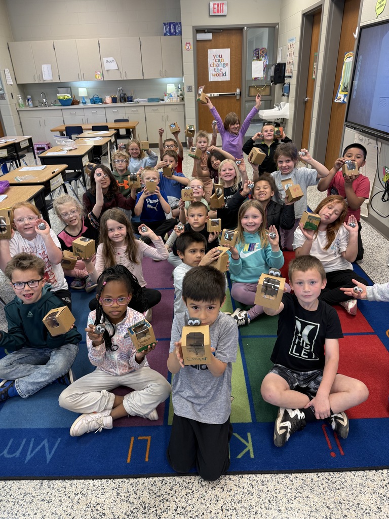 pet rocks