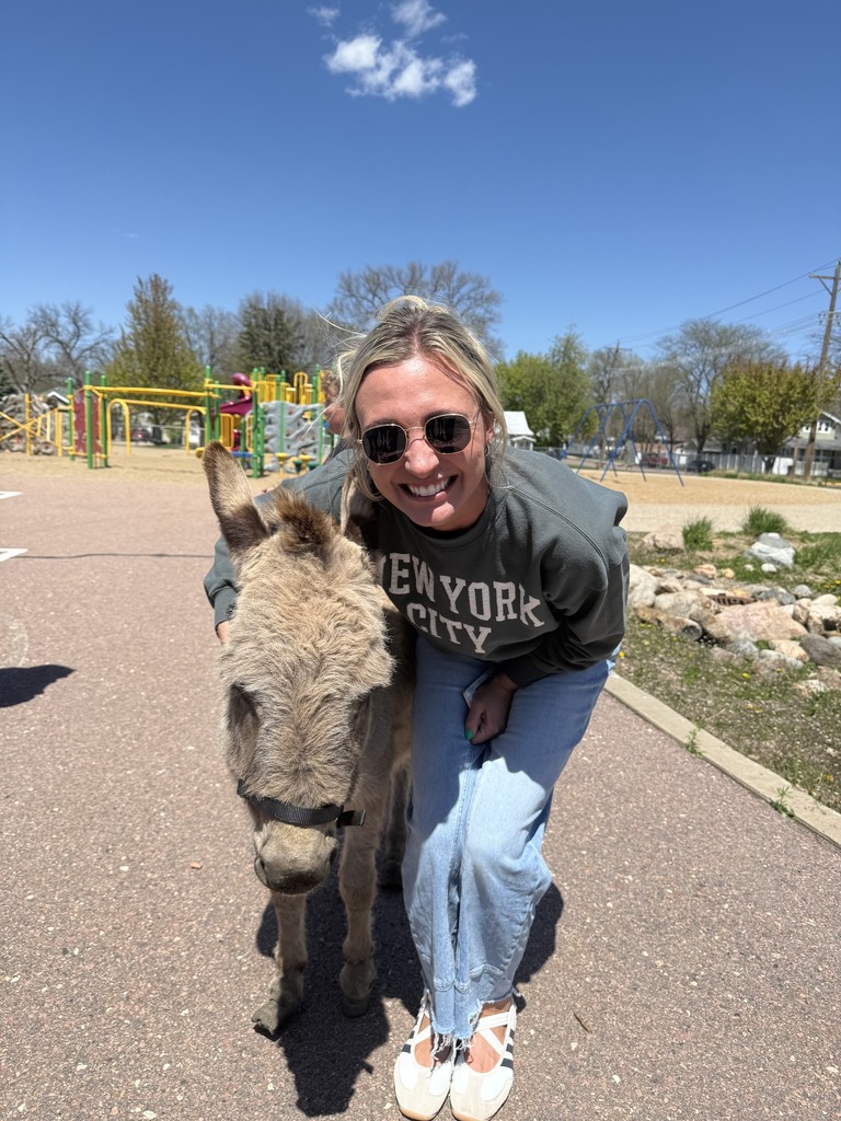 mini donkey