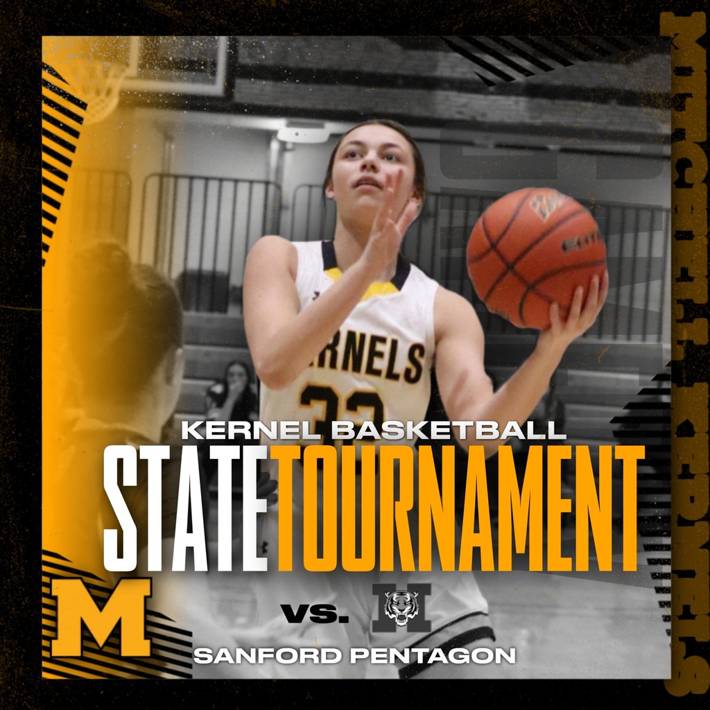 Girls Basketball - State Tournament vs. Harrisburg