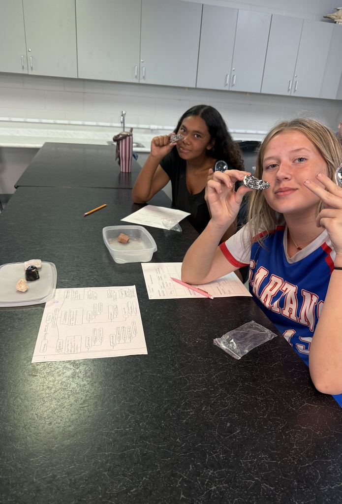 Students studying rocks