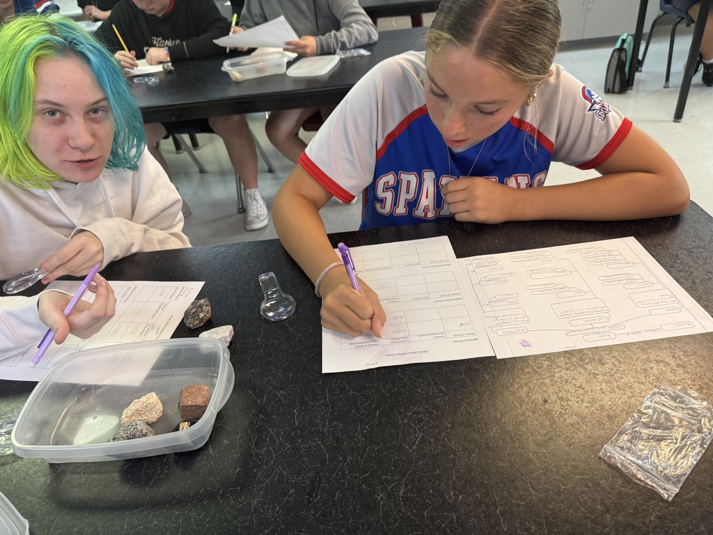 Students studying rocks