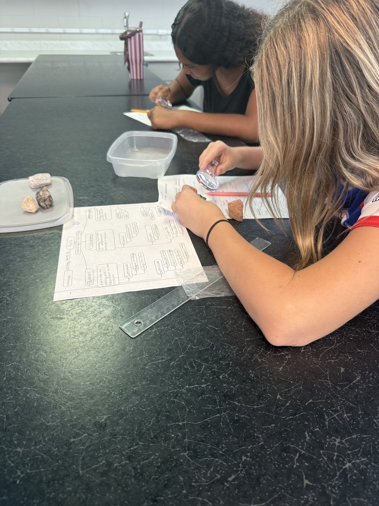 Students studying rocks