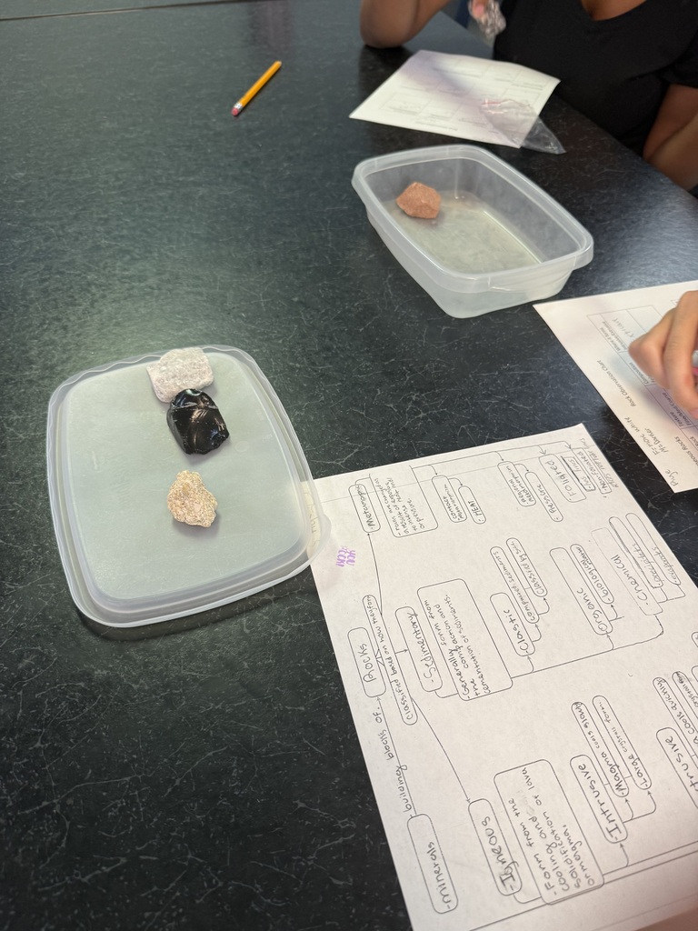 Students studying rocks