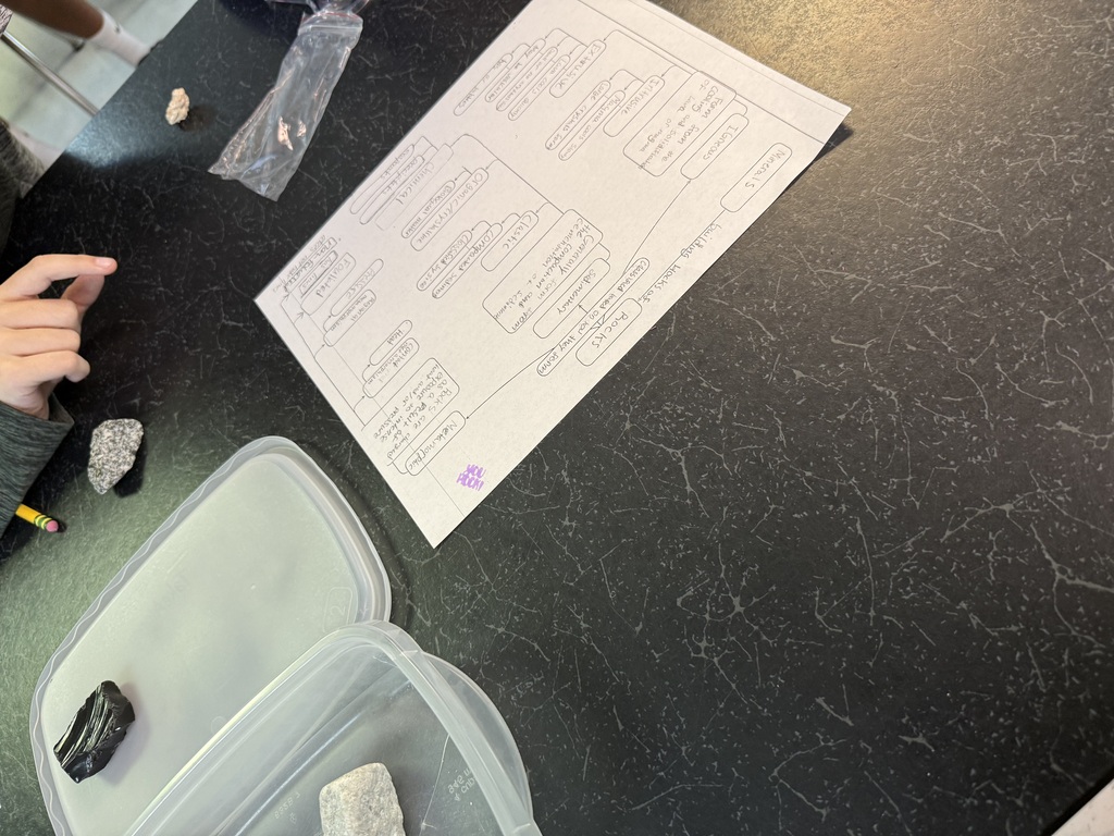 Students studying rocks
