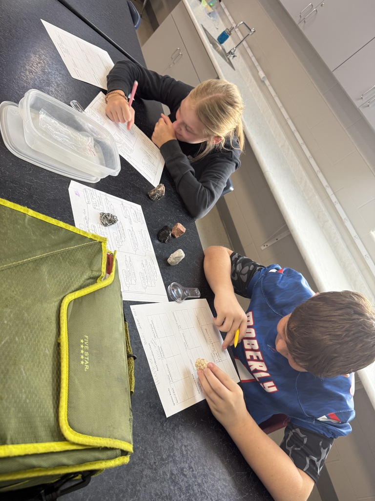 Students studying rocks