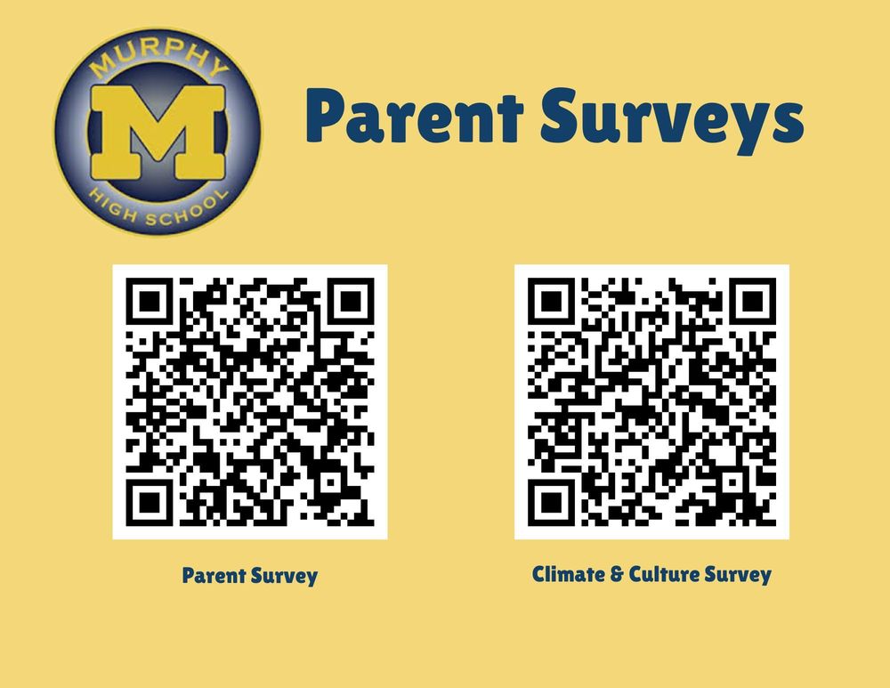 Surveys