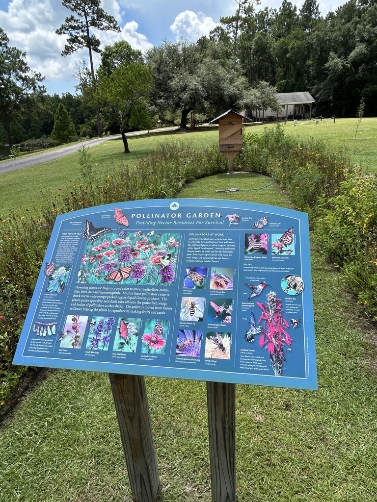 A sign titled "Pollinator Garden" with pictures of flowers stands before a small field ringed by wildflowers with a birdhouse