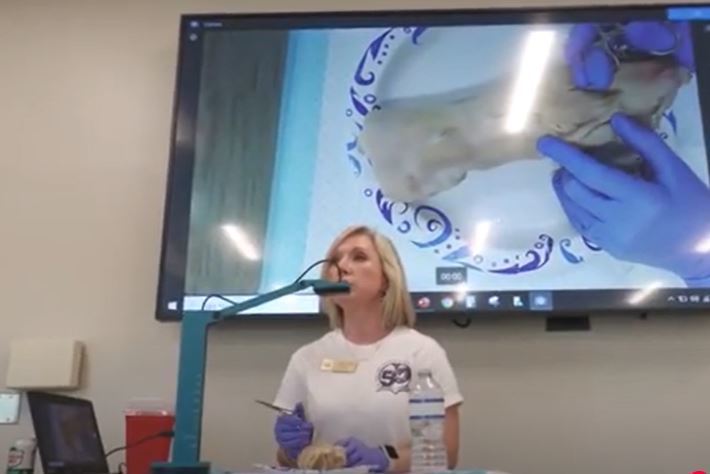 an instructor speaks in front of a video of a medical procedure