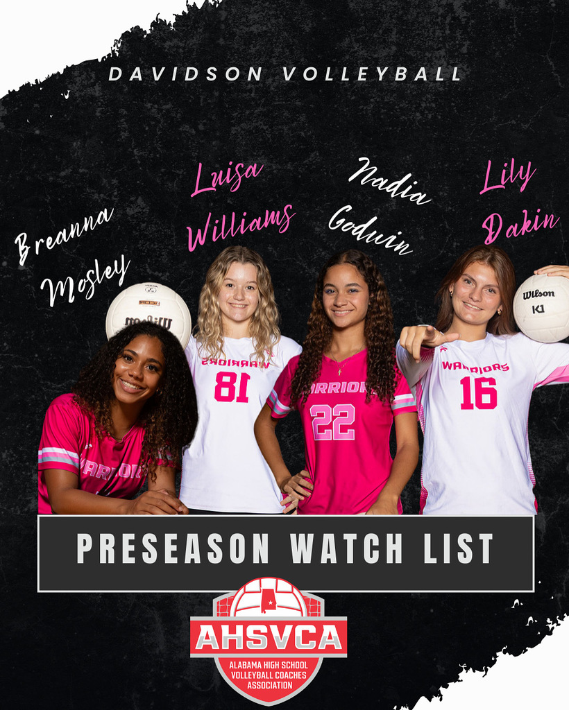 volleyball players
