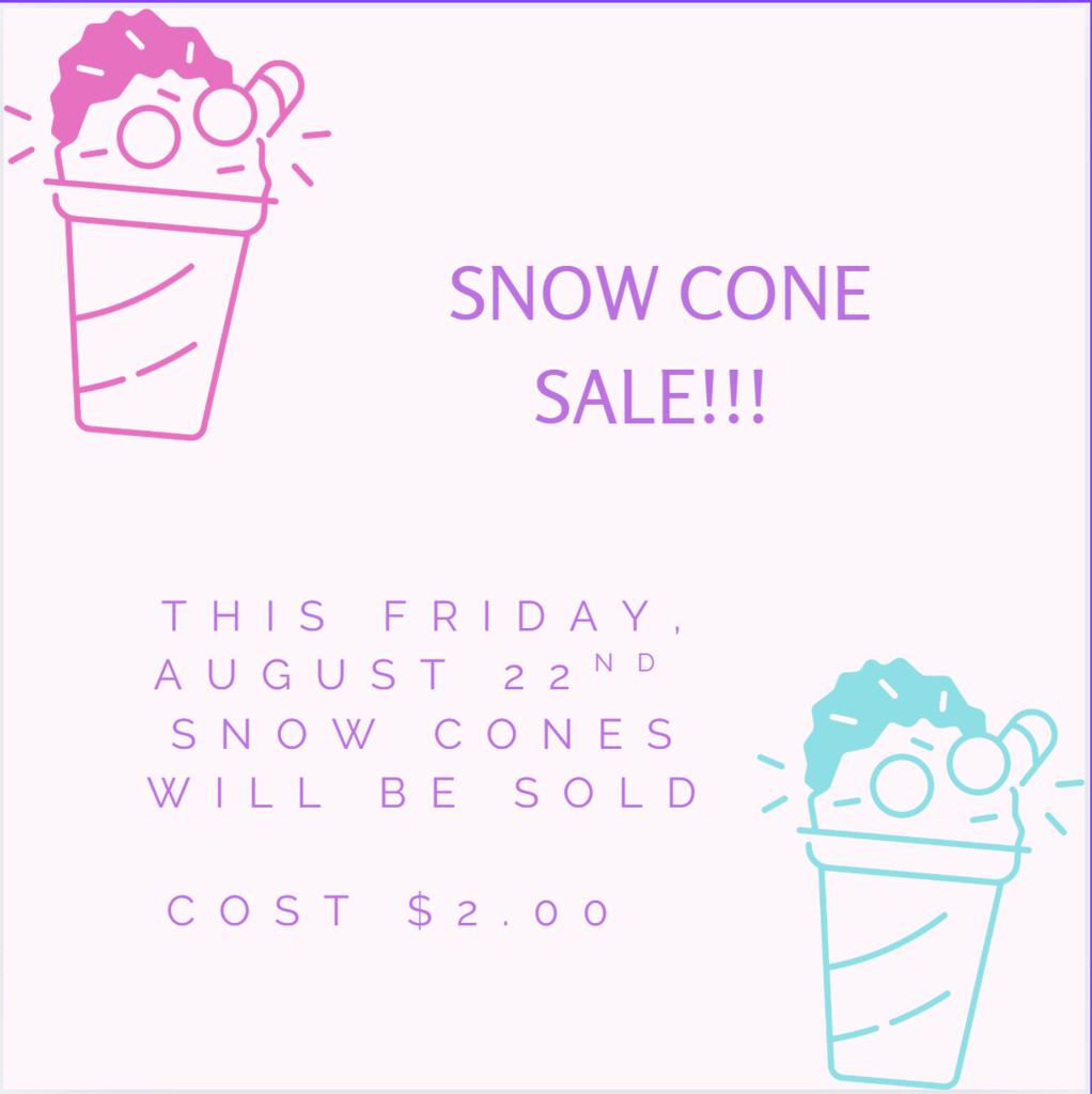 Snow Cone Sale 