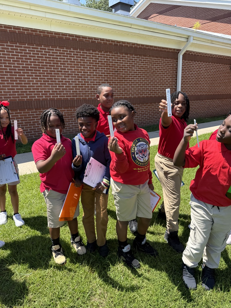 STEM with Mrs. Knowles 
