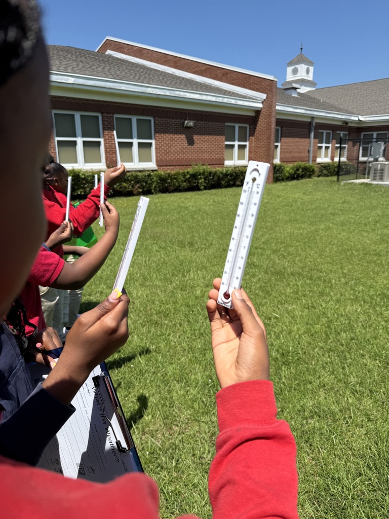 STEM with Mrs. Knowles 