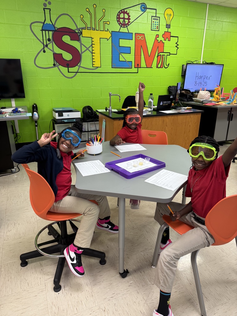 STEM with Mrs. Knowles 