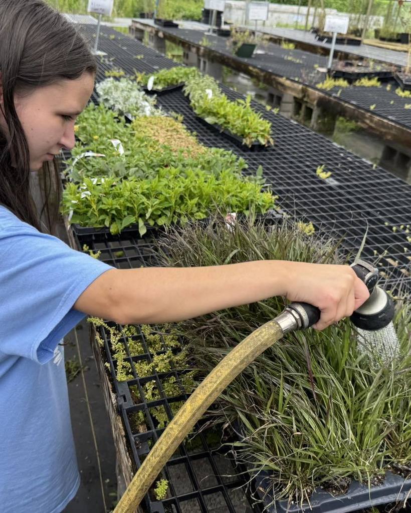 Student watering plants.