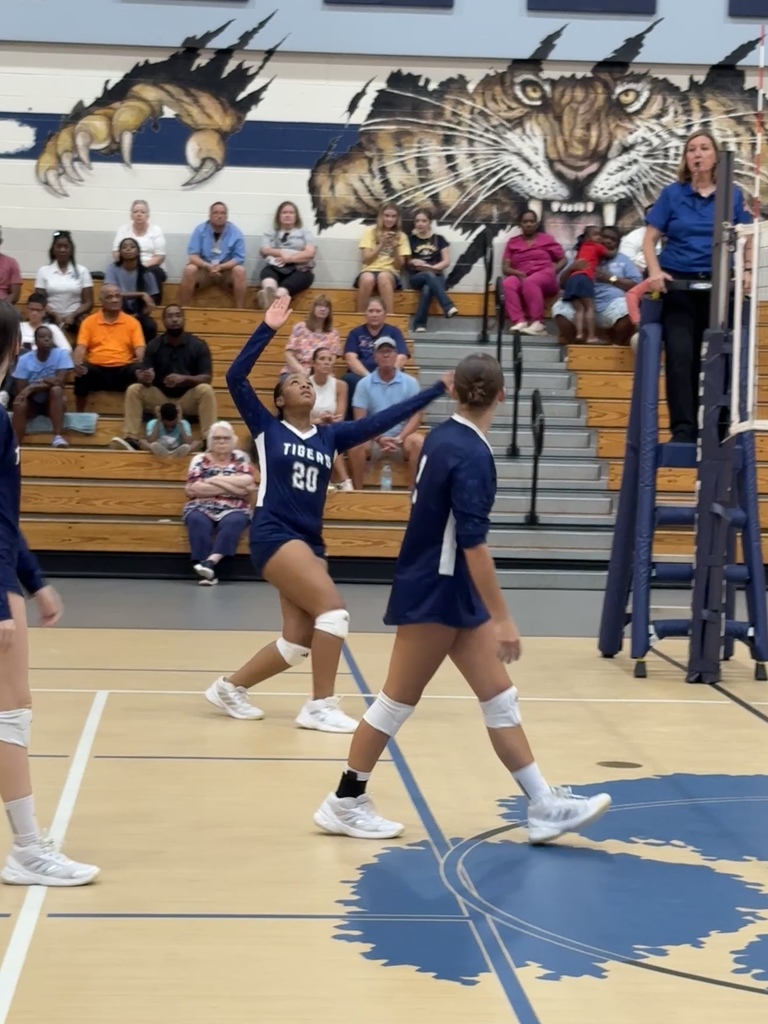 Volleyball player setting up to hit the ball