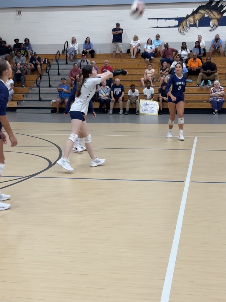 Volleyball player setting up to hit the ball