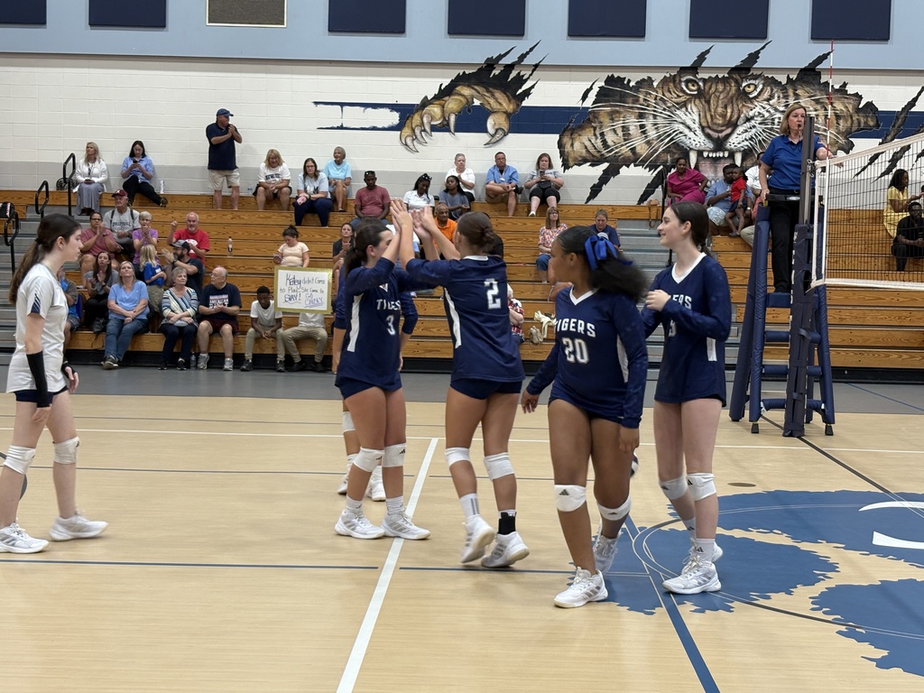 Volleyball players high-fiving after a good play 