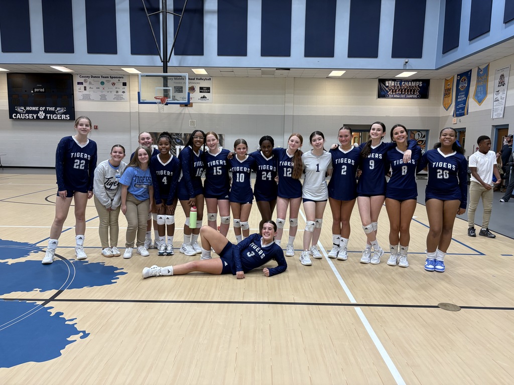 Volleyball Team photo