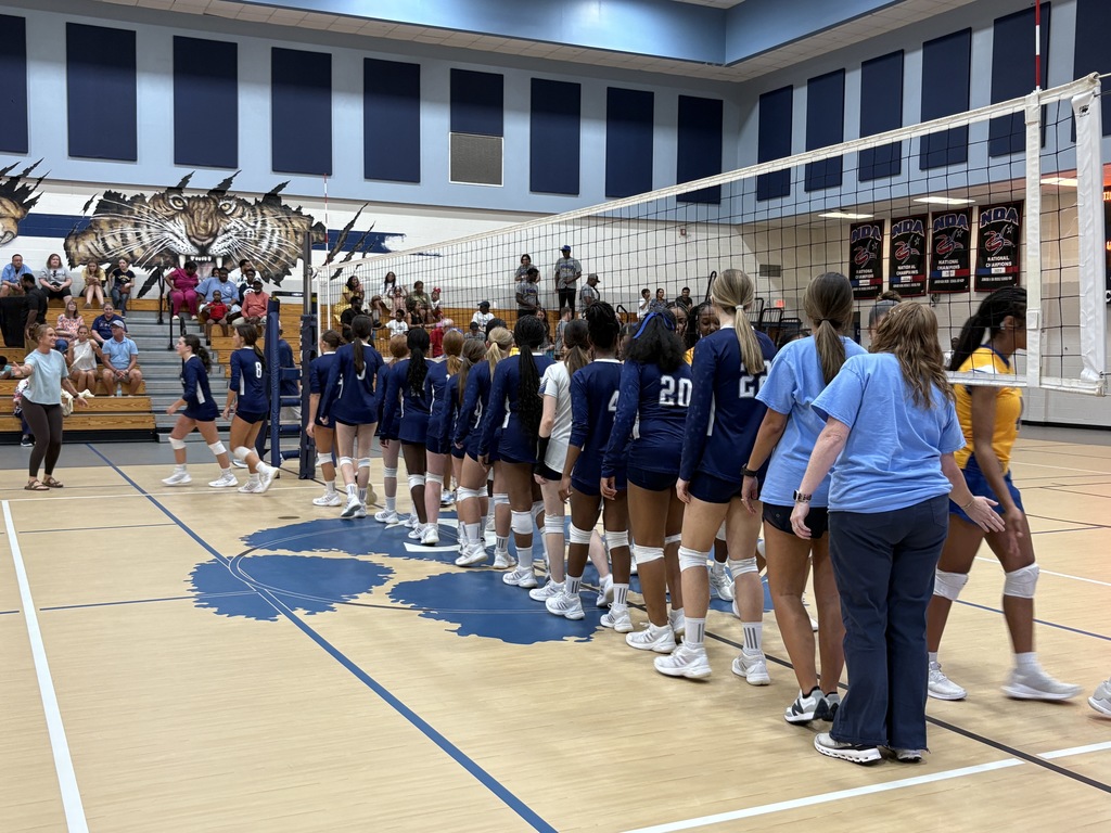 Volleyball team doing after game handshake