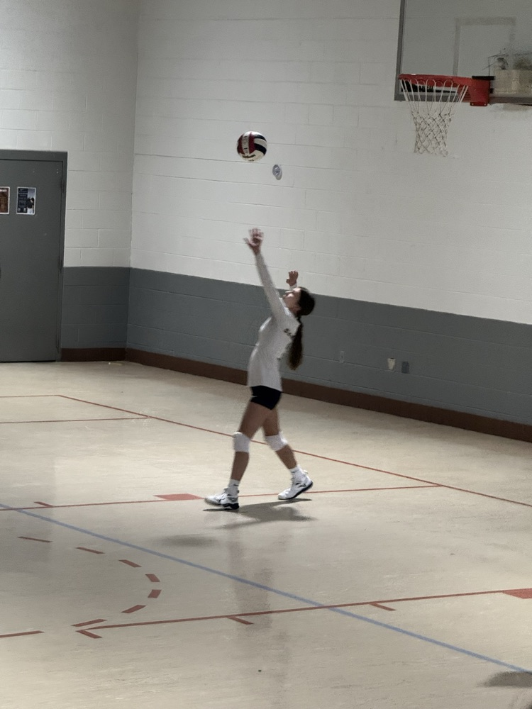 Volleyball