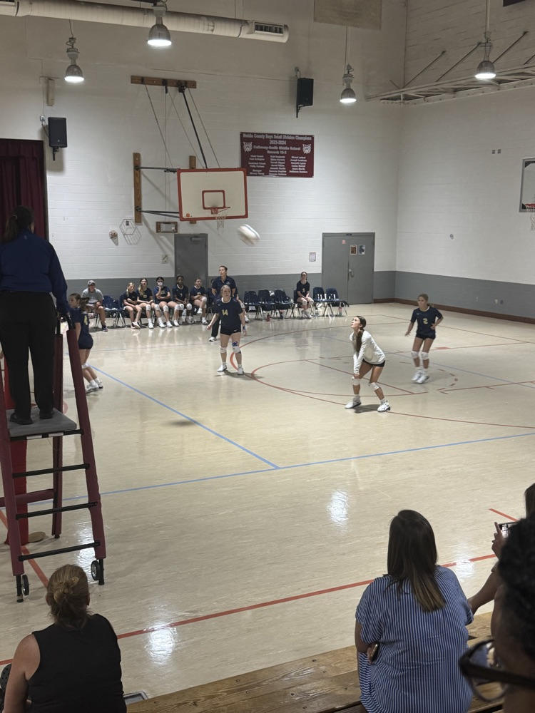 Volleyball