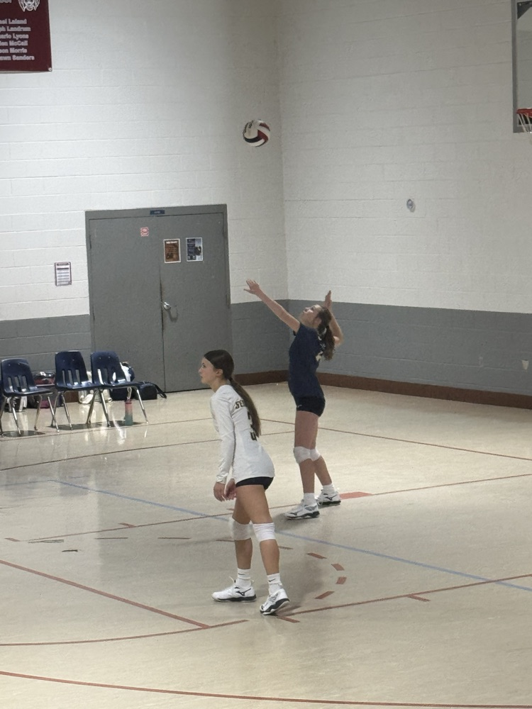 Volleyball