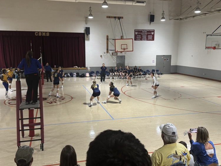 Volleyball