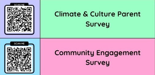 surveys