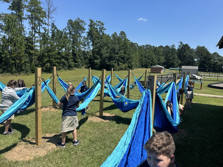 Hammock Garden 
