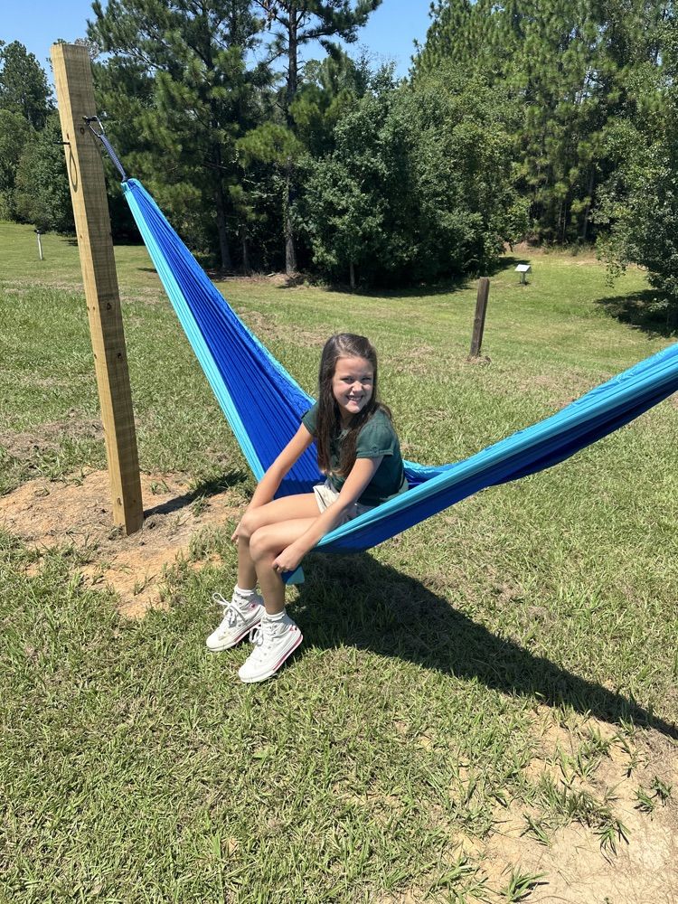 hammock 
