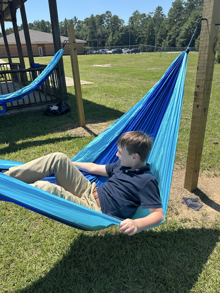 hammock 