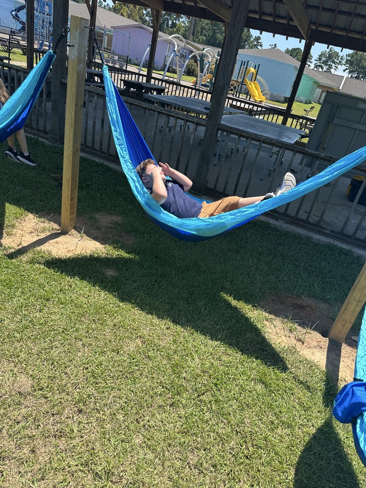 hammock 