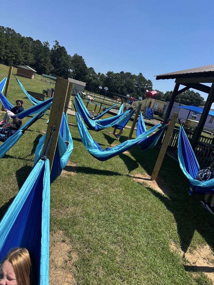 hammock 