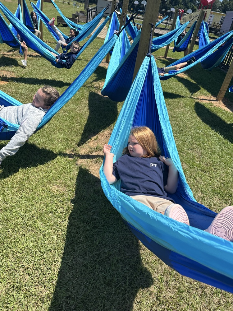 hammock 