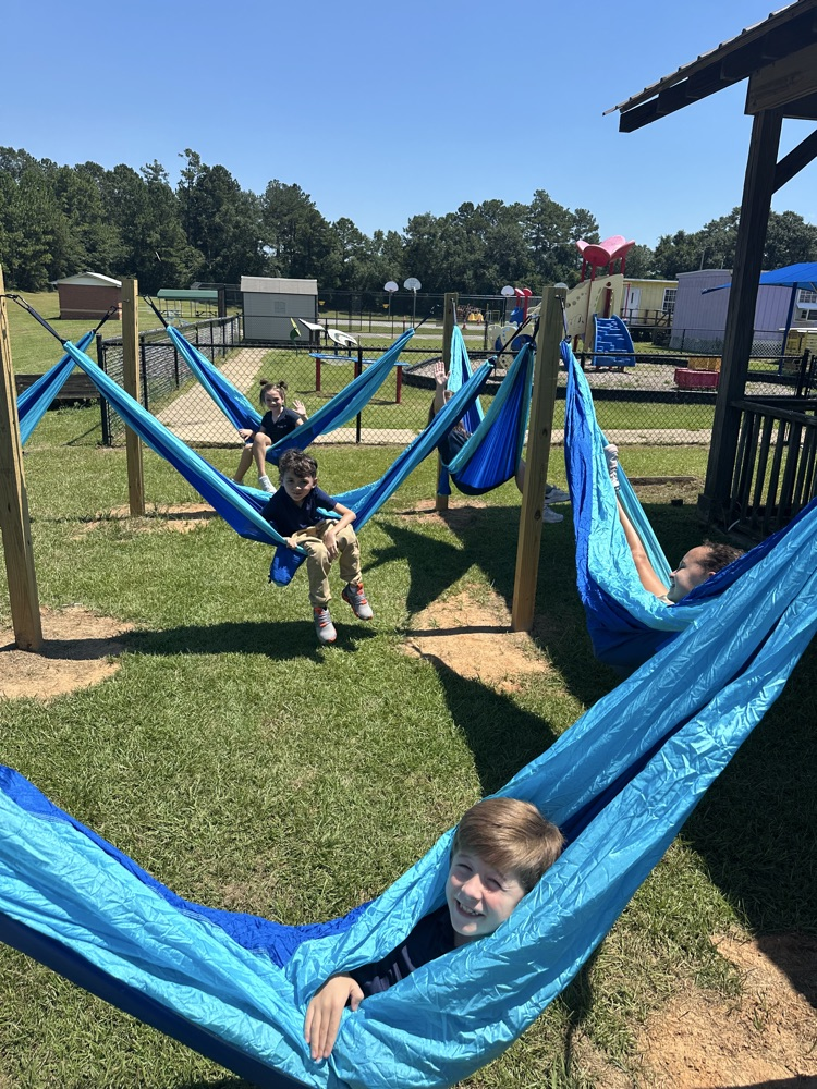 hammock 