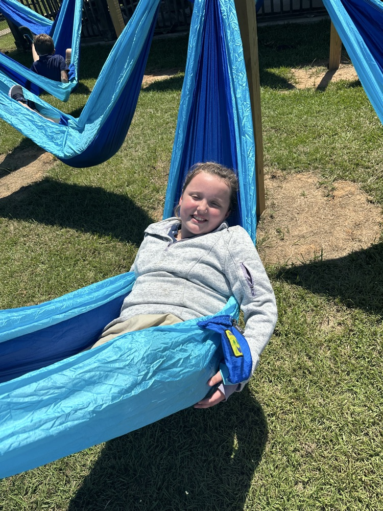 hammock 
