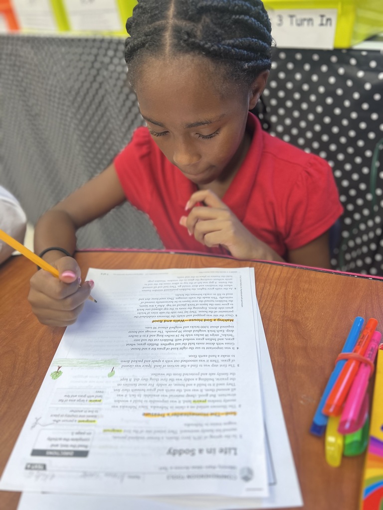Ms. Colston's small group reading lesson 